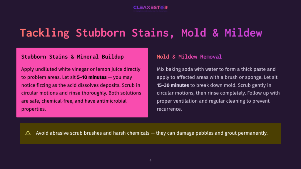 Cleanestor Graphic Detailing How To Tackle Stubborn Stains, Mold, And Mildew With Cleaning Tips And Instructions.