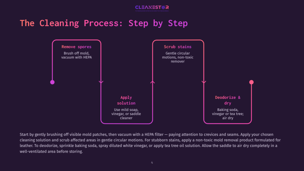 4 The Cleaning Process Step By Step 1 Infographic Detailing The Cleaning Process For A Saddle: Remove Spores, Scrub Stains, Apply Solution, And Deodorize &Amp; Dry. The Steps Are Illustrated With Icons And Text.