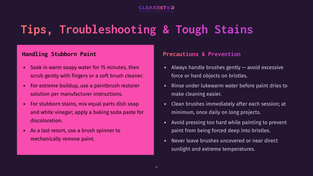 Slide Titled &Quot;Tips, Troubleshooting &Amp; Tough Stains&Quot; With Sections On &Quot;Handling Stubborn Paint&Quot; And &Quot;Precautions &Amp; Prevention&Quot; With Bulleted Advice.