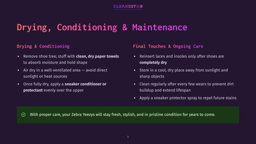 5 Drying Conditioning And Maintenance Slide With Text About Drying, Conditioning, And Maintenance Of Shoes, Including &Quot;Cleanestor&Quot; Logo And Tips For Shoe Care.