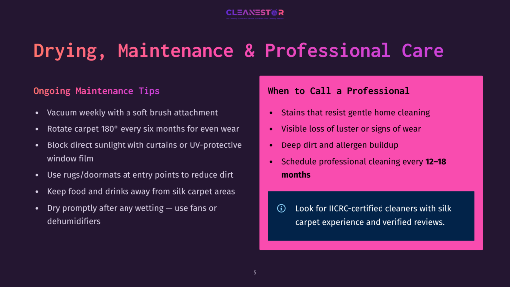 Cleanestor Logo At The Top Of A Slide With Text About Drying, Maintenance, And Professional Carpet Care, Including Tips For Home Maintenance And When To Call A Professional.