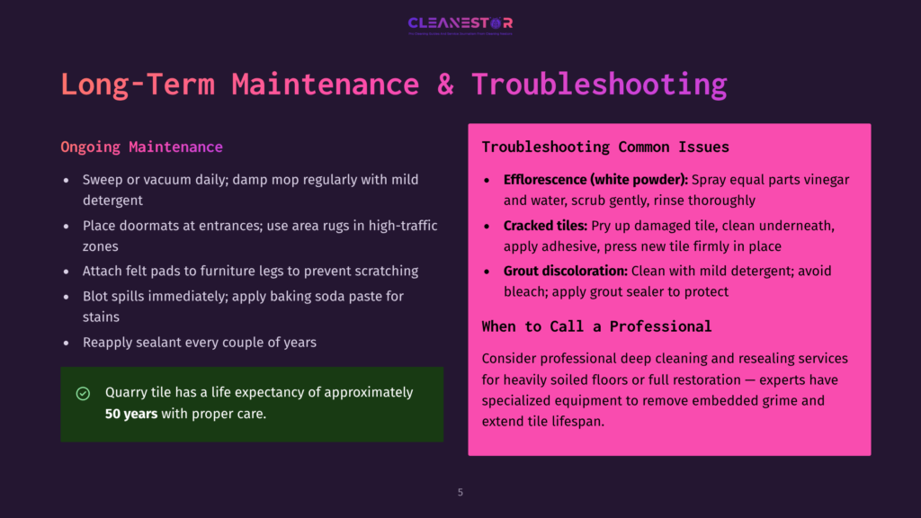 5 Long Term Maintenance And Troubleshooting Cleanestor Presentation Slide On Long-Term Maintenance And Troubleshooting For Quarry Tile, Including Efflorescence And Cracked Tile Cleaning Tips.