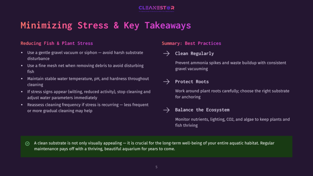 Cleanestor Slide Detailing &Quot;Minimizing Stress &Amp; Key Takeaways&Quot; For Fish And Plant Health, With Points On Reducing Disturbance, Water Parameters, And Balancing The Ecosystem.