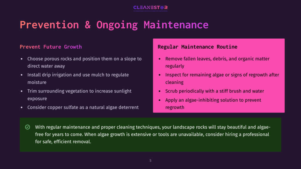 Cleanestor Presentation Slide On Preventing And Maintaining Outdoor Spaces, Detailing Steps Like Removing Debris, Scrubbing Algae, And Applying Treatments To Prevent Future Growth.