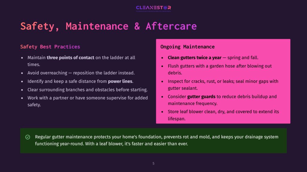 Infographic Titled &Quot;Safety, Maintenance &Amp; Aftercare&Quot; With Safety Best Practices And Ongoing Maintenance Tips. Includes Maintaining Three Points Of Contact On A Ladder, Using A Leaf Blower For Easier Gutter Maintenance, And Inspecting Gutters Twice A Year.