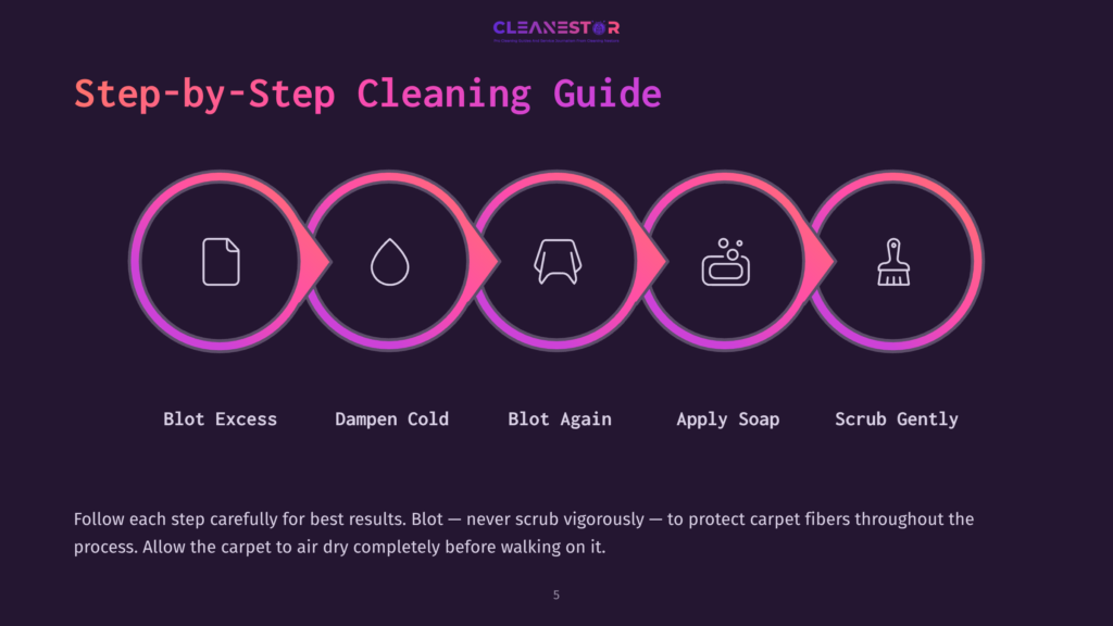 Step-By-Step Carpet Cleaning Guide: Blot Excess, Dampen, Blot Again, Apply Soap, Scrub Gently. Cleanestor Logo At Top.
