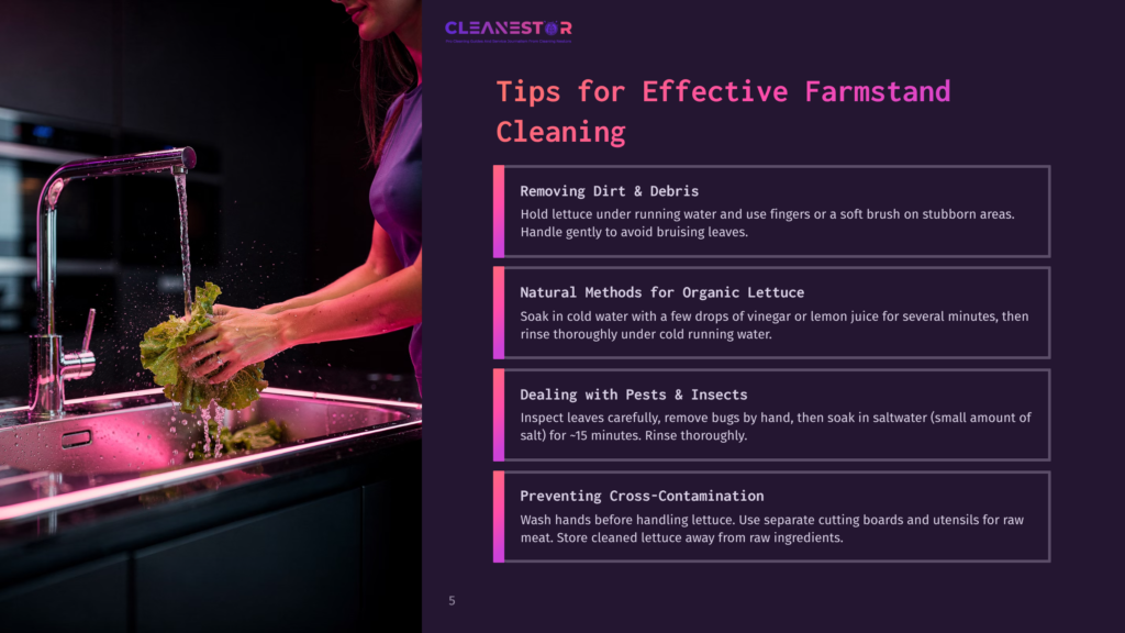 Person Washing Fresh Lettuce Under A Running Faucet In A Modern Kitchen Sink, With Text Overlay &Quot;Cleanestor Tips For Effective Farmstand Cleaning&Quot;.