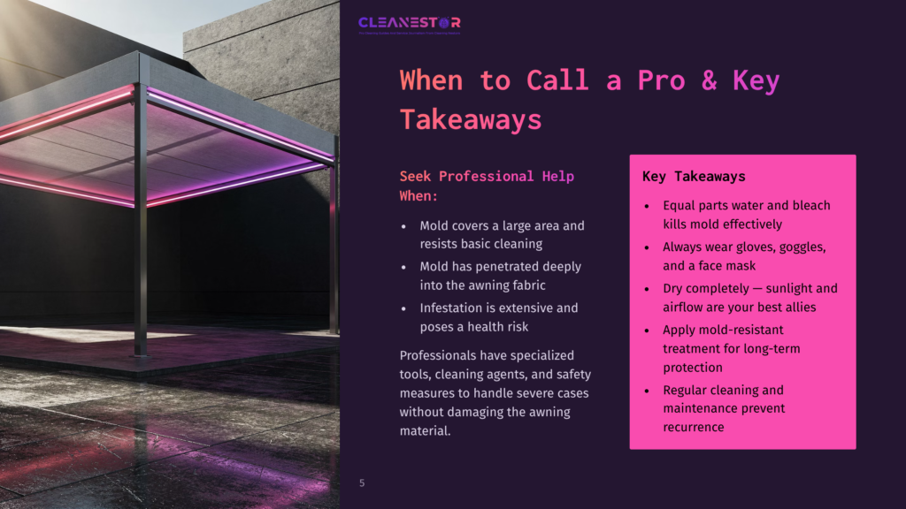 Cleanestor Logo With The Tagline &Quot;Pro Cleaning Solutions For Residential And Commercial Properties.&Quot; Text Reads &Quot;When To Call A Pro &Amp; Key Takeaways,&Quot; With Bullet Points On Professional Help And Key Takeaways For Mold Cleaning.