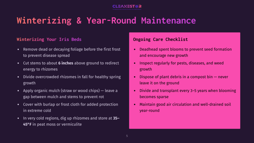 Slide Titled &Quot;Winterizing Your Iris Beds&Quot; And &Quot;Ongoing Care Checklist&Quot; With Bulleted Lists Of Plant Care Tips, Including Removing Dead Foliage, Mulching, And Preparing For Winter.