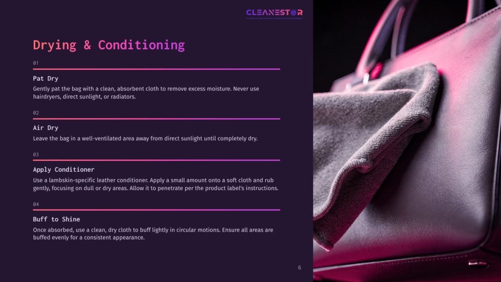 Cleanestor Logo And Instructions For Cleaning And Conditioning A Leather Bag, Showing A Close-Up Of A Soft Gray Cloth Being Used On A Dark Leather Handbag.