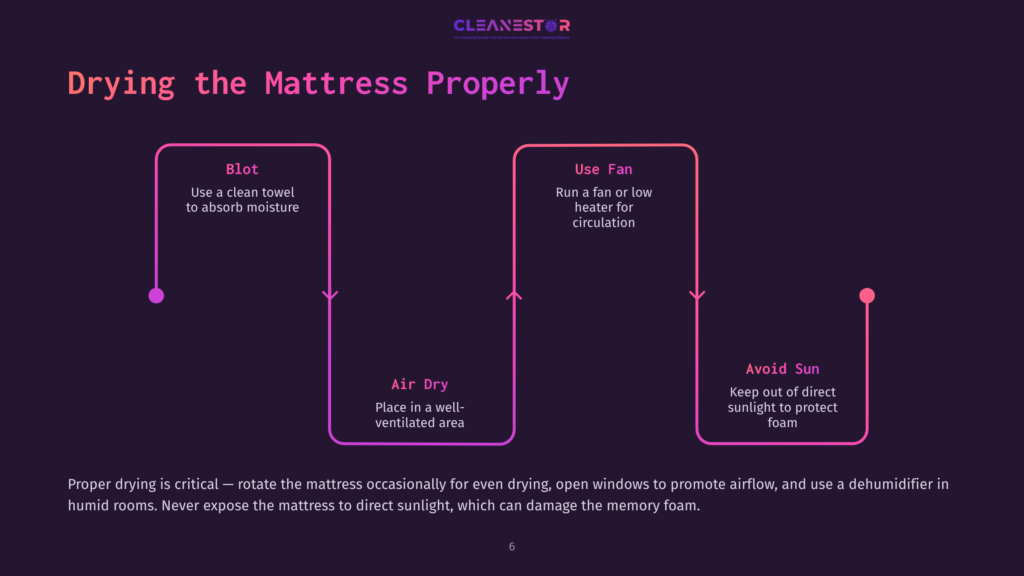 6 Drying The Mattress Properly Flowchart Illustrating How To Properly Dry A Mattress: Blot With A Towel, Use A Fan For Air Circulation, And Avoid Direct Sunlight. Text Advises Rotating The Mattress And Using A Dehumidifier In Humid Rooms.