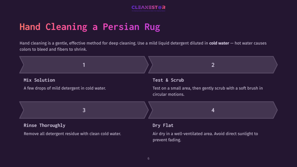 Diagram Outlining The 4 Steps For Hand Cleaning A Persian Rug: Mix Solution, Test &Amp; Scrub, Rinse Thoroughly, And Dry Flat. Includes Text From The Cleanestor Logo.