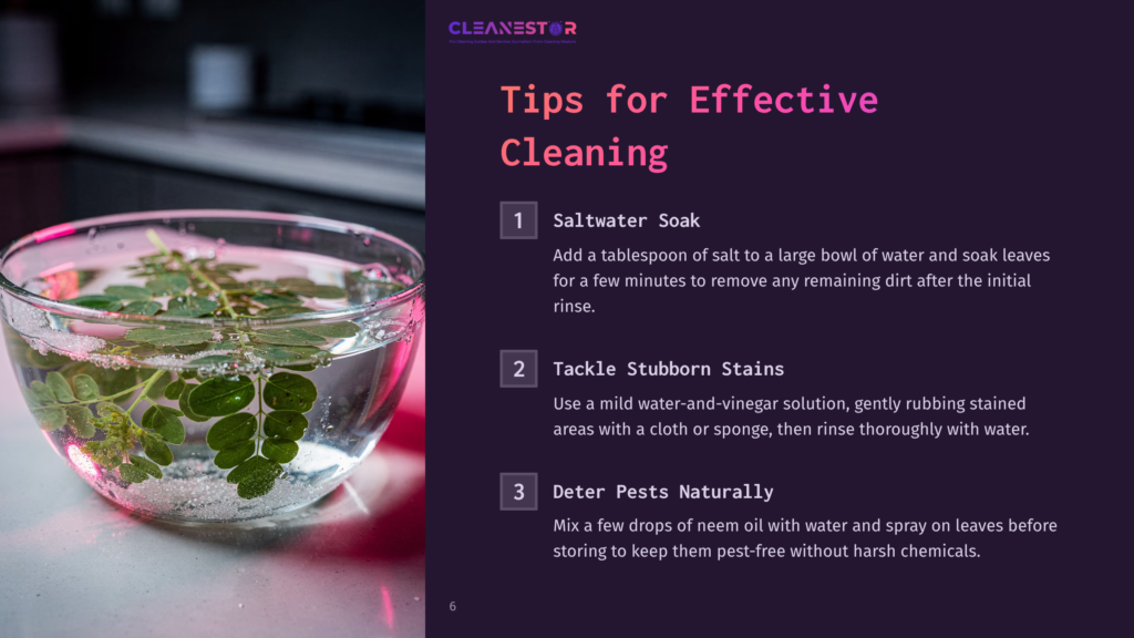 A Clear Glass Bowl Filled With Water And Fresh Green Leaves, Some With Tiny Bubbles, Sits On A Dark Background. Text Overlay Reads &Quot;Cleanestor Tips For Effective Cleaning.