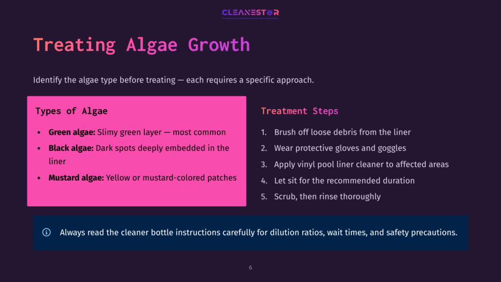 Slide Titled &Quot;Treating Algae Growth&Quot; With Two Columns: &Quot;Types Of Algae&Quot; (Green, Black, Mustard) And &Quot;Treatment Steps&Quot; (Brush Off Debris, Wear Gloves And Goggles, Apply Vinyl Pool Cleaner, Let Sit, Rinse). Includes &Quot;Cleanestor&Quot; Logo.