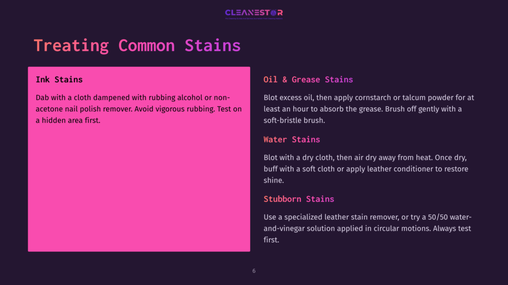 Cleanestor Logo And A Graphic Titled &Quot;Treating Common Stains&Quot; With Sections On Ink, Oil &Amp; Grease, Water, And Stubborn Stains, Offering Cleaning Tips.
