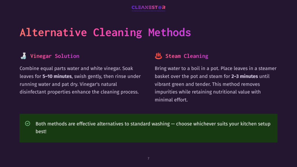 Slide 7: Alternative Cleaning Methods - Vinegar Solution And Steam Cleaning. The Slide Contrasts Two Natural Cleaning Methods, One Using Vinegar And Water, The Other Using Steam, With Bulleted Instructions For Each.