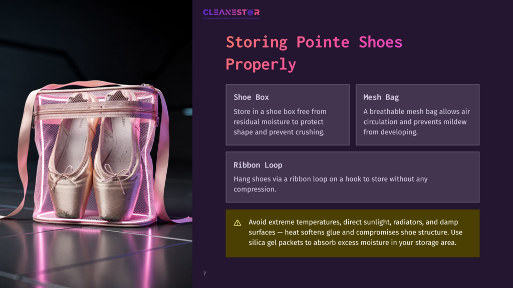 Pink Mesh Bag Holding Two Satin Pointe Shoes, With Text Overlay Detailing Storage Tips For Pointe Shoes, Including Shoe Boxes And Ribbon Loops.