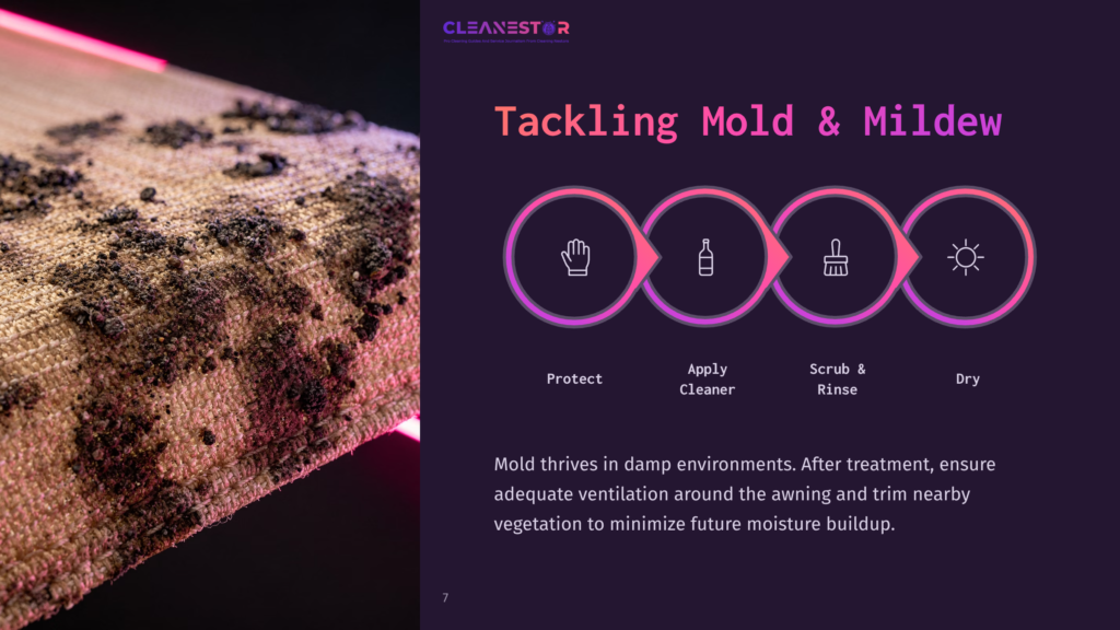 Close-Up Of A Fabric Awning With Dark Mold And Mildew Growth, Next To A Presentation Slide Titled &Quot;Tackling Mold &Amp; Mildew&Quot; With Icons Representing Protect, Apply Cleaner, Scrub &Amp; Rinse, And Dry.