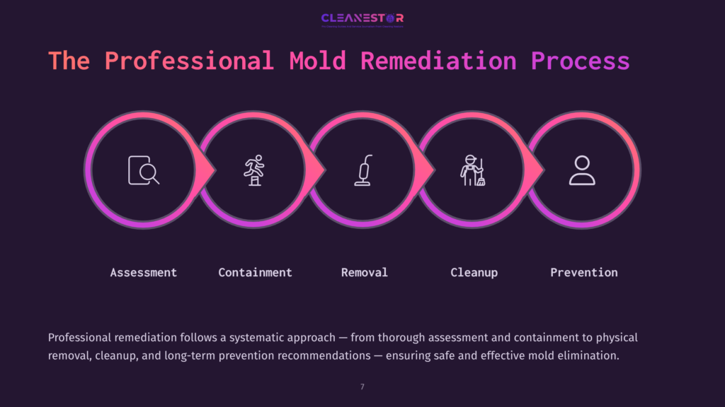 Professional Mold Remediation Process Infographic: Assessment, Containment, Removal, Cleanup, Prevention. Features Five Circular Icons In A Pink And Purple Gradient Flow, With Text Below Each Icon.