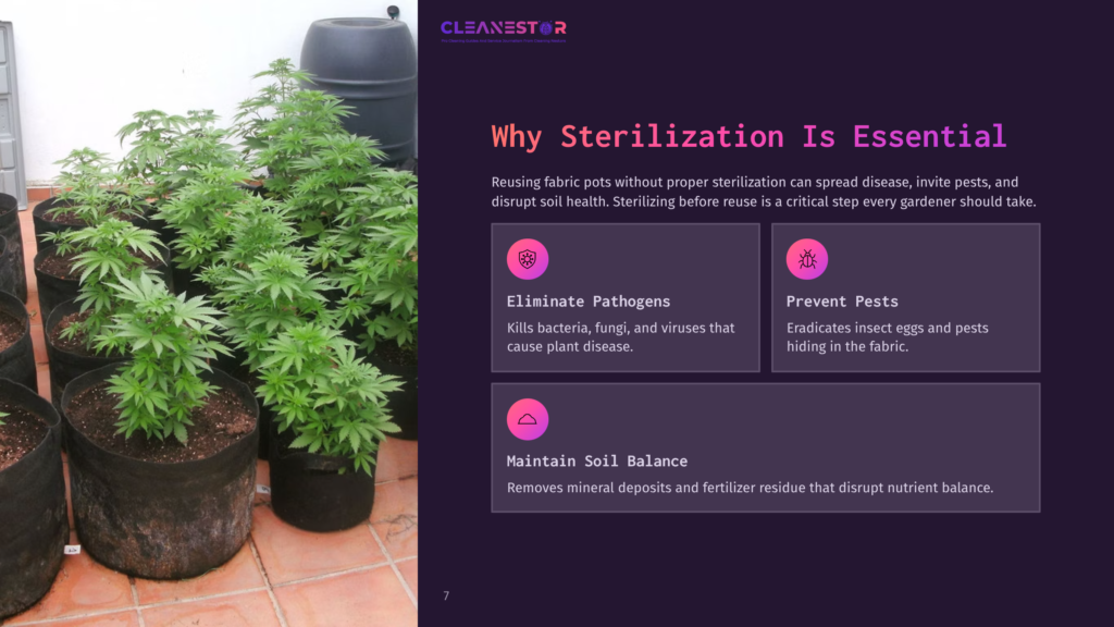 Cleanestor Logo And Text Explaining Why Sterilization Is Essential For Fabric Pots, Including Eliminating Pathogens, Preventing Pests, And Maintaining Soil Balance. A Row Of Healthy Cannabis Plants In Fabric Pots Is Visible On The Left.