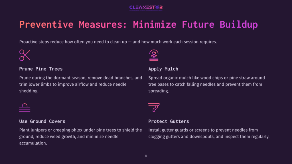 Preventive Measures: Minimize Future Buildup - Prune Pine Trees, Apply Mulch, Use Ground Covers, Protect Gutters. Cleanestor Graphic With Icons.