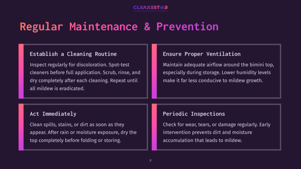 Cleanestor Logo With Text &Quot;Regular Maintenance &Amp; Prevention&Quot; And Four Boxes Detailing Cleaning Tips: Establish A Cleaning Routine, Ensure Proper Ventilation, Act Immediately, And Periodic Inspections.