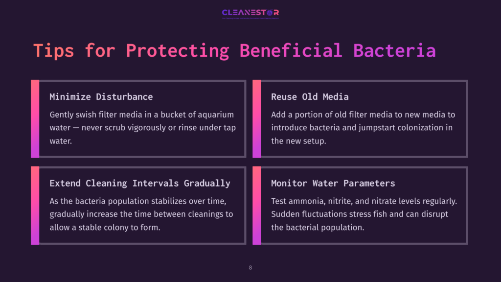 Infographic Titled &Quot;Tips For Protecting Beneficial Bacteria&Quot; With Four Sections: Minimize Disturbance, Reuse Old Media, Extend Cleaning Intervals Gradually, And Monitor Water Parameters. The Background Is Dark Purple With A Gradient Effect.