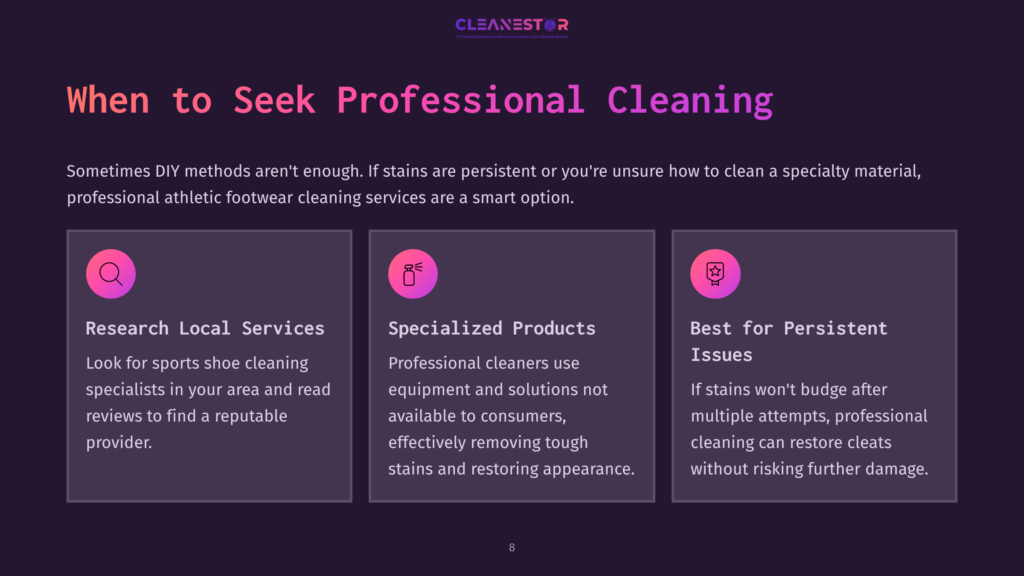 Illustration With The Text &Quot;When To Seek Professional Cleaning&Quot; And Three Sections Detailing Reasons: &Quot;Research Local Services,&Quot; &Quot;Specialized Products,&Quot; And &Quot;Best For Persistent Issues.