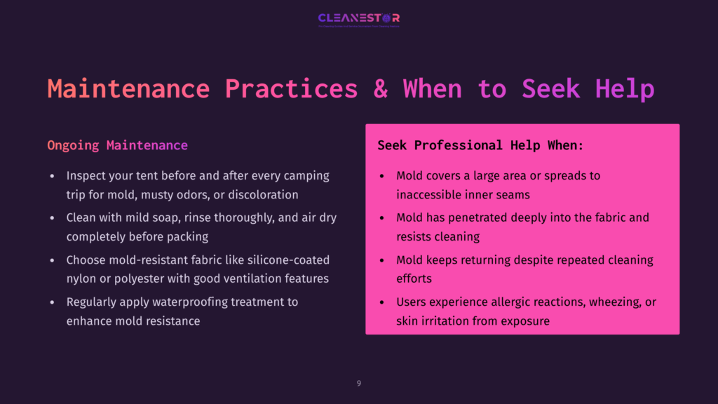 Slide Titled &Quot;Maintenance Practices &Amp; When To Seek Help&Quot; With Sections On &Quot;Ongoing Maintenance&Quot; And &Quot;Seek Professional Help.