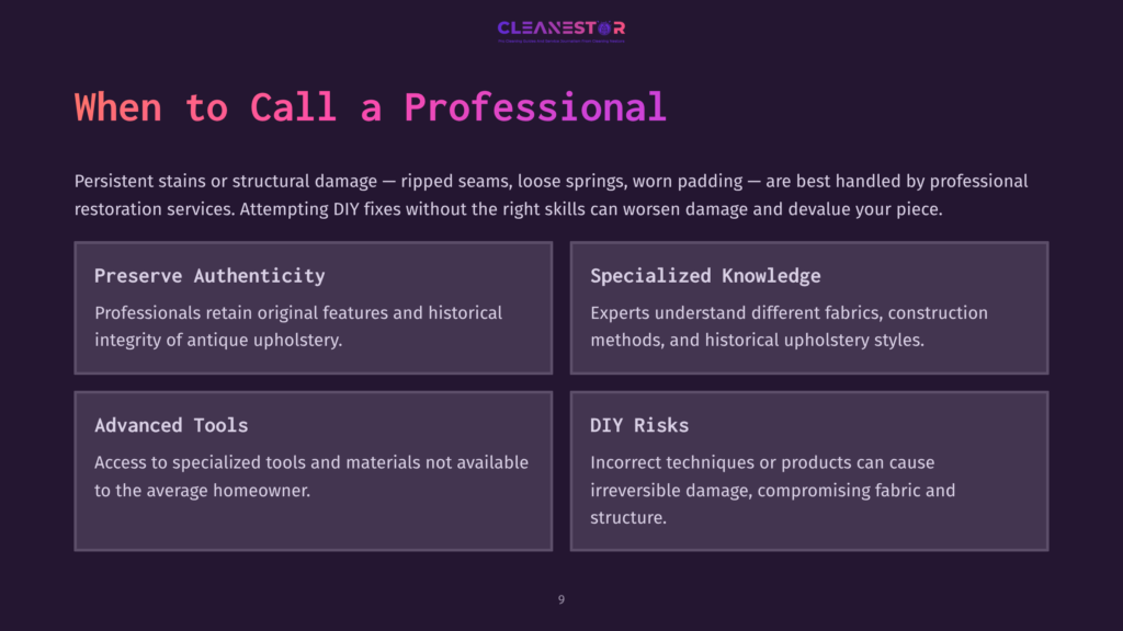 Dark Purple Slide With &Quot;Cleanestor&Quot; Logo And &Quot;When To Call A Professional&Quot; Title. Four Sections Detail Benefits Of Professional Restoration: Preserve Authenticity, Specialized Knowledge, Advanced Tools, And Diy Risks.
