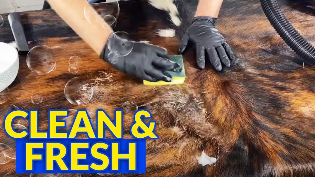How To Clean A Cowhide