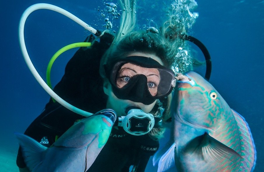 How To Clean A Scuba Regulator