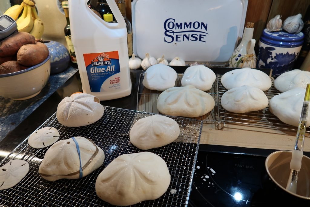 How To Clean A Sea Biscuit