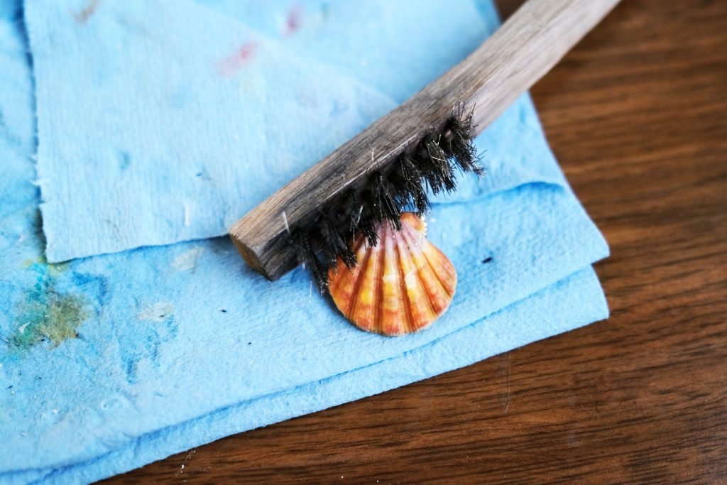 How To Clean A Sunrise Shell