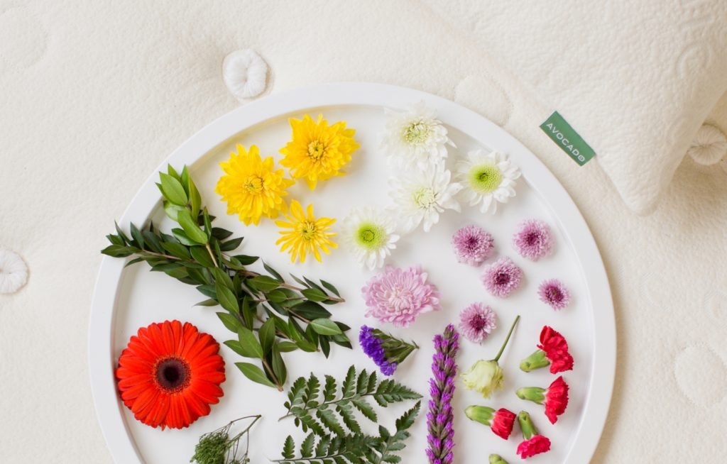 How To Clean An Avocado Mattress