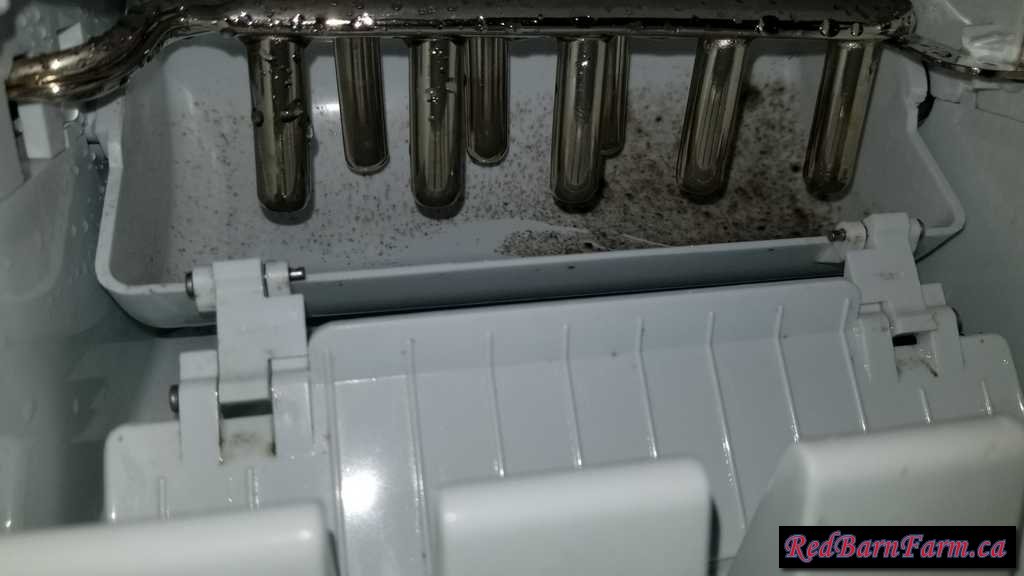 How To Clean An Igloo Ice Maker