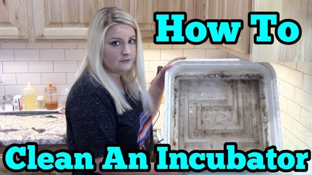 How To Clean An Incubator How To Clean An Incubator