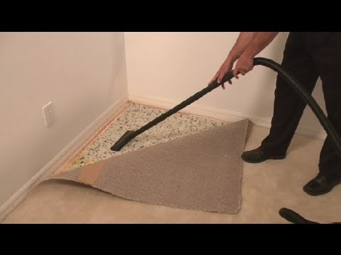 How To Clean Carpet Pad Without Removing Carpet