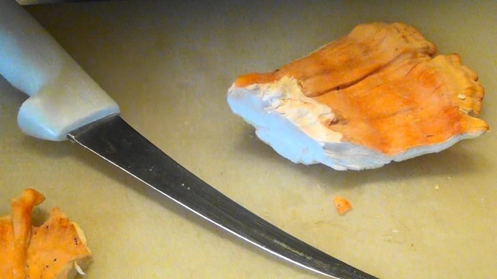 How To Clean Chicken Of The Woods Mushrooms How To Clean Chicken Of The Woods Mushrooms