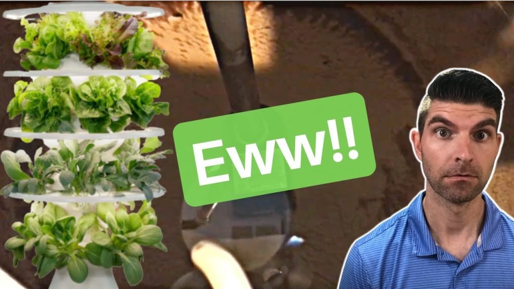 How To Clean Lettuce Grow Farmstand How To Clean Lettuce Grow Farmstand