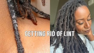 How To Clean Lint Out Of Locs How To Clean Lint Out Of Locs