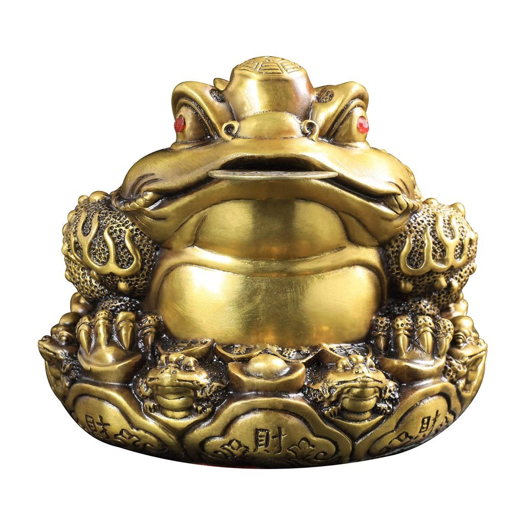 How To Clean Money Frog Cleanestor