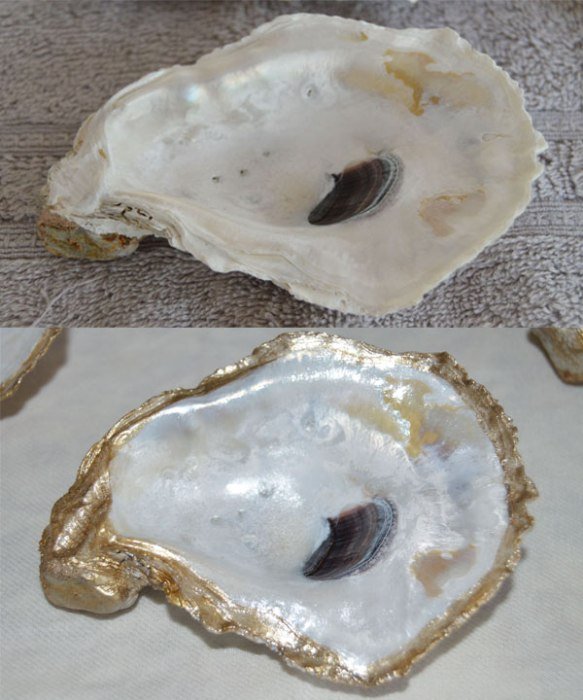 How To Clean Oyster Shells For Crafts