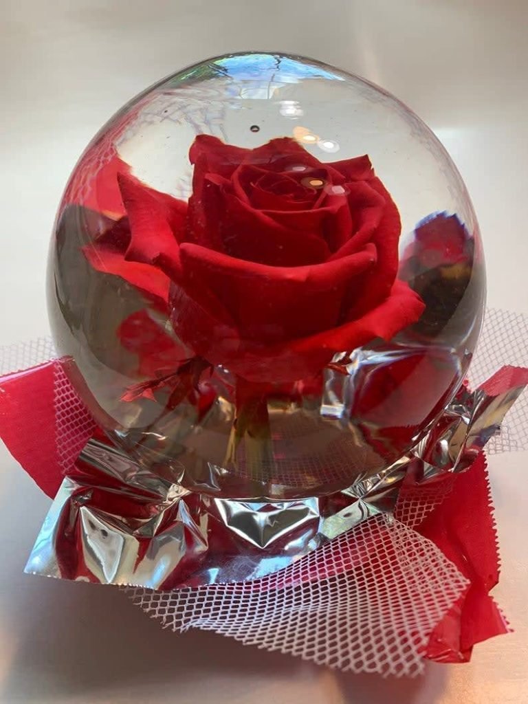 How To Clean Rose In Water Globe