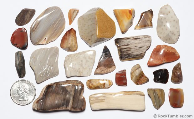 How To Clean Rough Petrified Wood