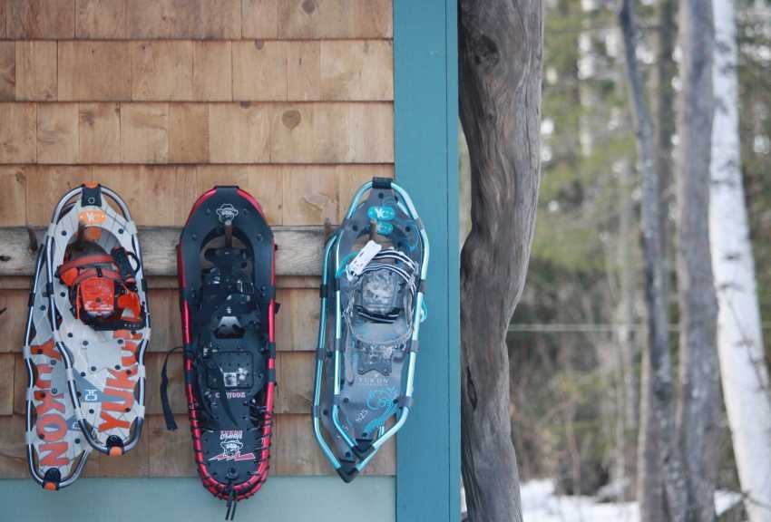 How To Clean Snowshoes How To Clean Snowshoes