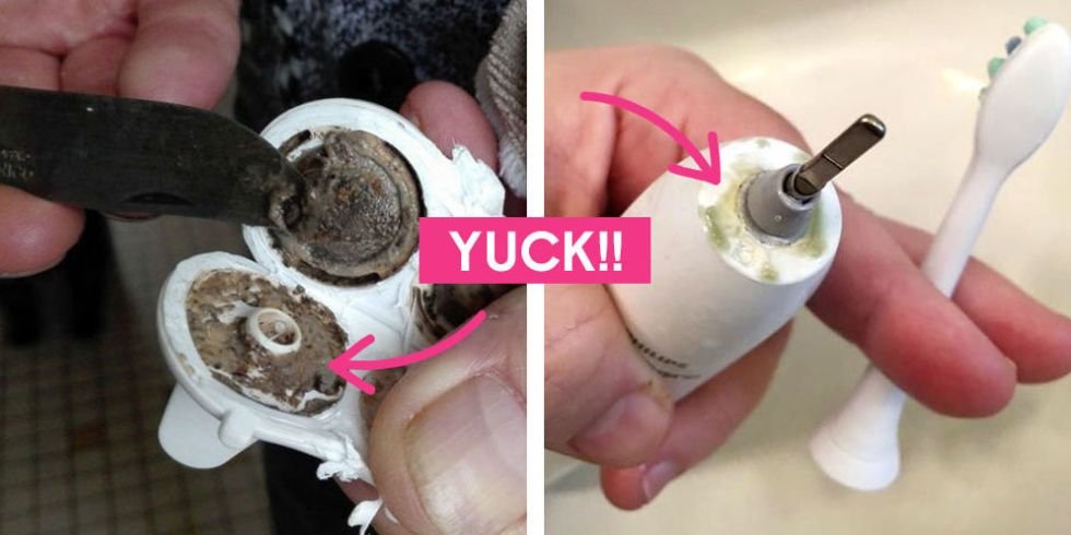 How To Clean Sonicare Toothbrush Mold