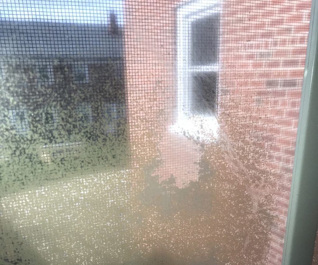 How To Clean Sun Damaged Windows How To Clean Sun-Damaged Windows