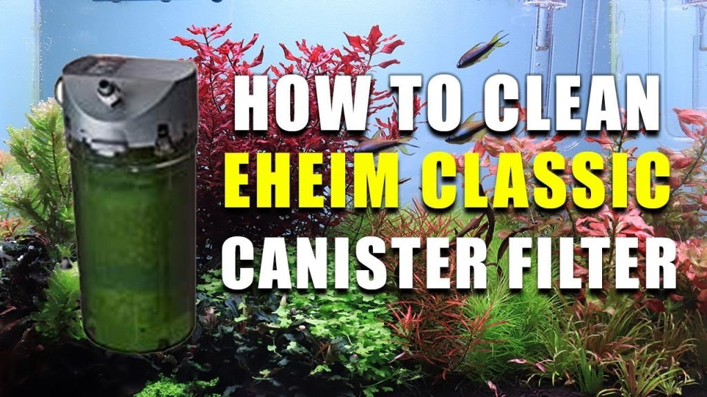How To Clean The Eheim Canister Filter