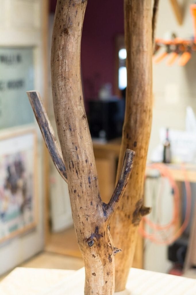 How To Clean Tree Branches For Indoor Use How To Clean Tree Branches For Indoor Use